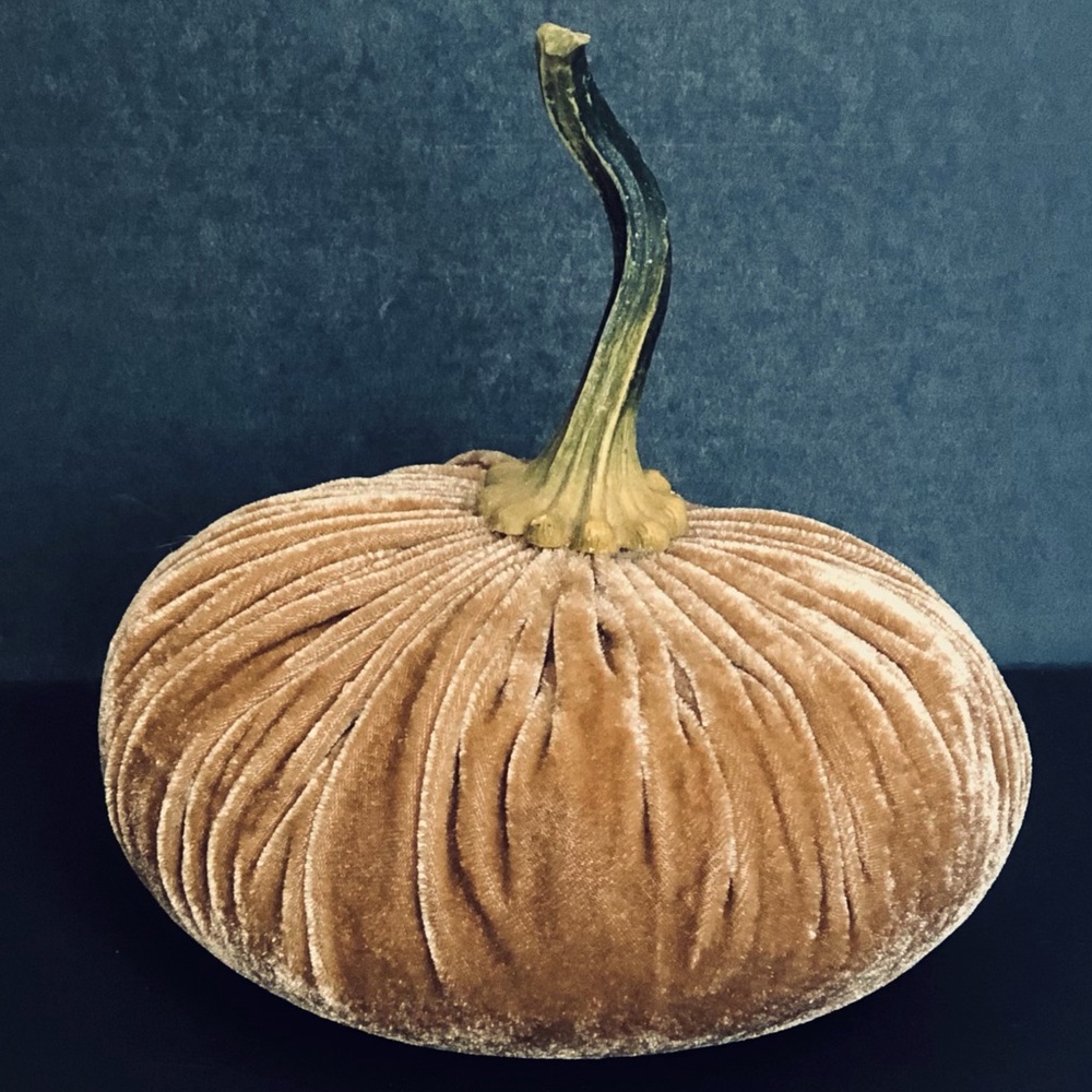 Plush Pumpkin Accent - Tan velour